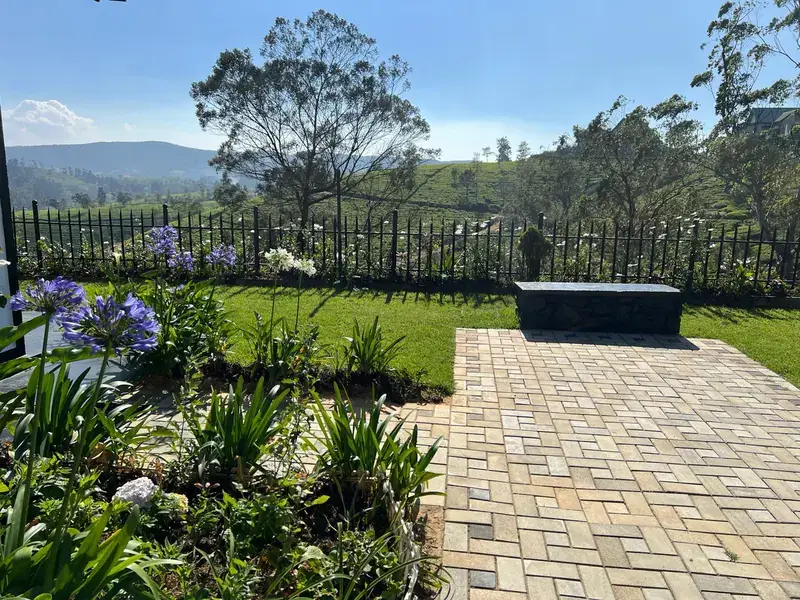 The garden: agapanthus beside a paved courtyard with a stone bench, tea fields beyond the fence