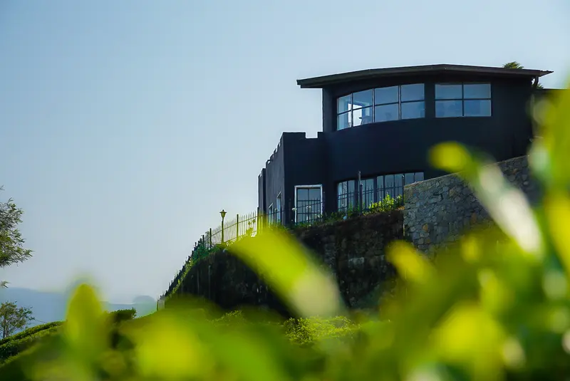 The house seen from below through the tea bushes